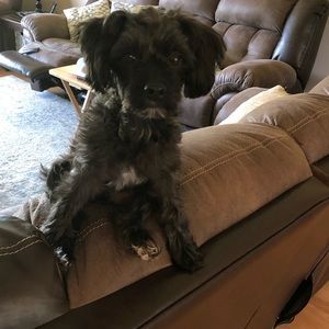 Meet your Posher, Seanae